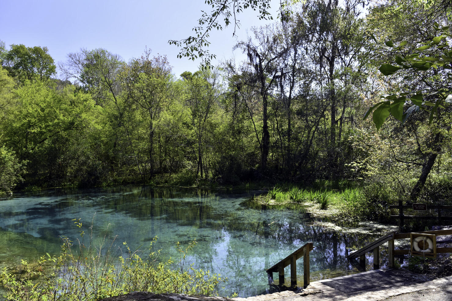Turquoise headwaters of the Ichetucknee River, Florida.