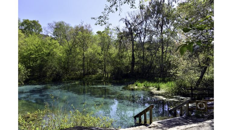 Turquoise headwaters of the Ichetucknee River, Florida.