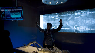 Cancer Industry / Shroud of Turin