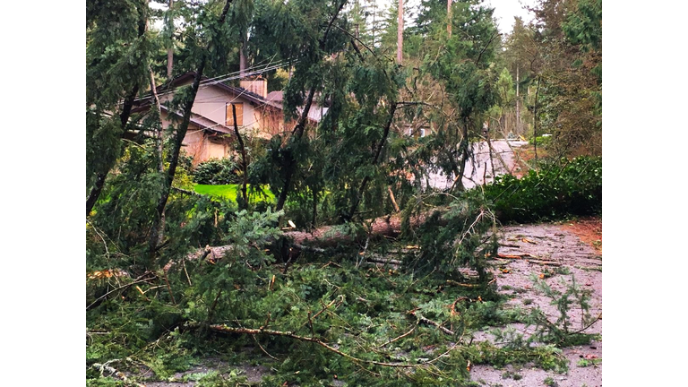 California Mudslides Damage Property After WildFires