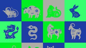 Heart Intelligence / Chinese Astrology