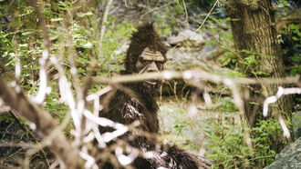 American Sasquatch / Open Lines