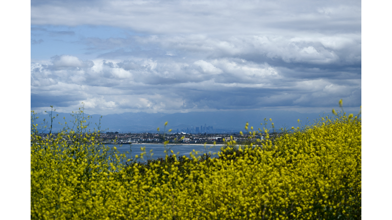 US-ENVIRONMENT-CLIMATE-FLOWERS