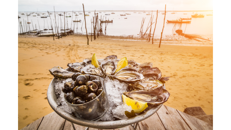 Fresh oysters on ice with lemon on the beach