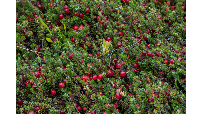 US-ENVIRONMENT-CLIMATE-AGRICULTURE