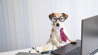 Missed Connections (8/25/25)