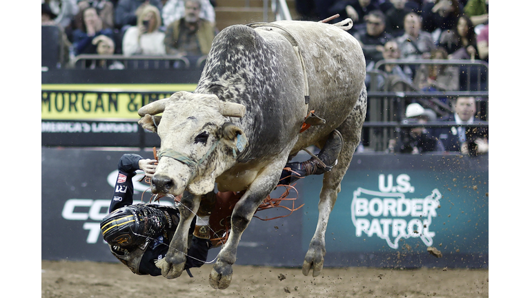 PBR: Unleash The Beast - New York City