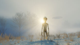 The Ubiquity of the Grey