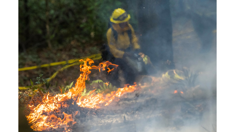 Prescribed fire burn