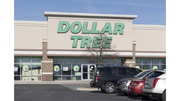 Dollar Tree Discount Store. Dollar Tree offers an eclectic mix of products for a dollar and a quarter.