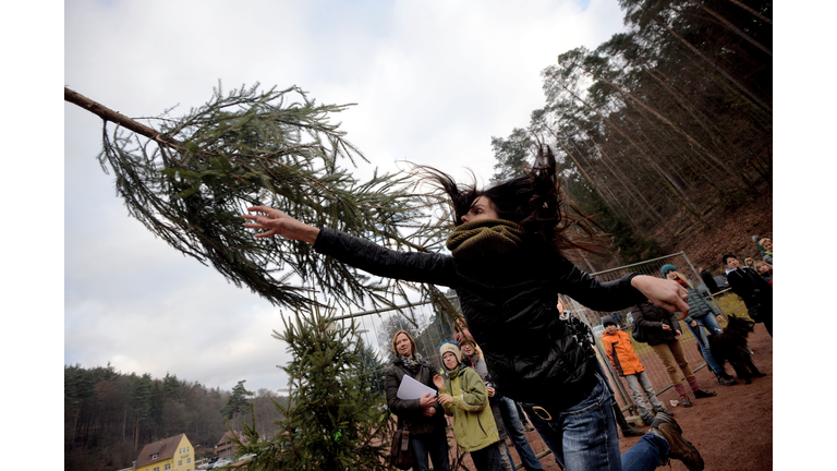Christmas Tree Throwing World Championships