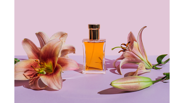 Bottle of perfume with lily flowers on purple background. Beauty products for body and face care. Minimal style perfumery template