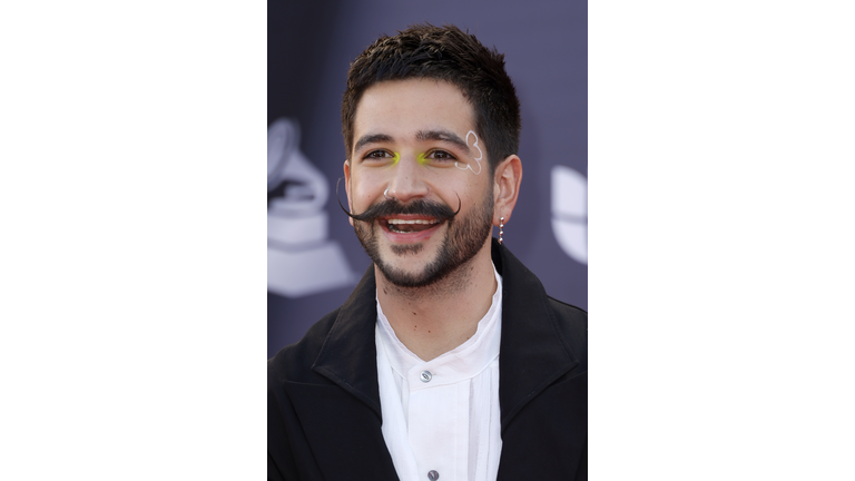 23rd Annual Latin GRAMMY Awards - Arrivals