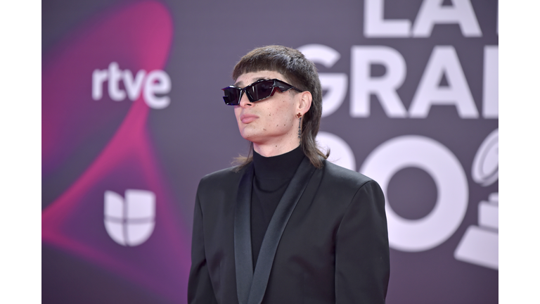 24th Annual Latin GRAMMY Awards - Arrivals