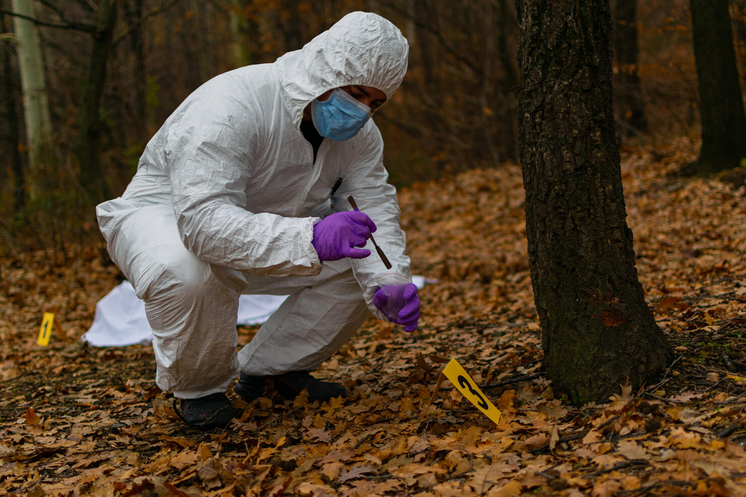 Forensic scientist and young detective working at the crime scene in the woods, looking for clues and examining and photographing the evidence, trying to solve this mysterious murder.