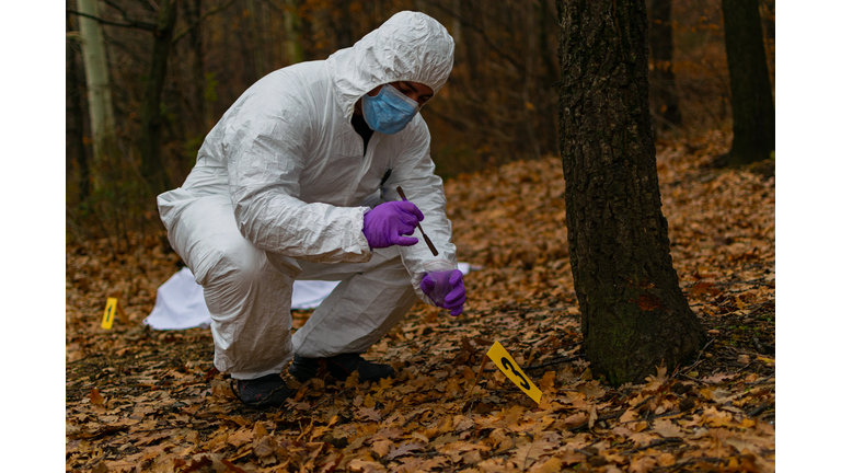 Forensic scientist and young detective working at the crime scene in the woods, looking for clues and examining and photographing the evidence, trying to solve this mysterious murder.