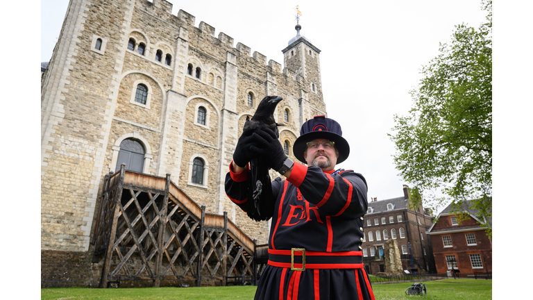 Tower of London Re-opens To The Public