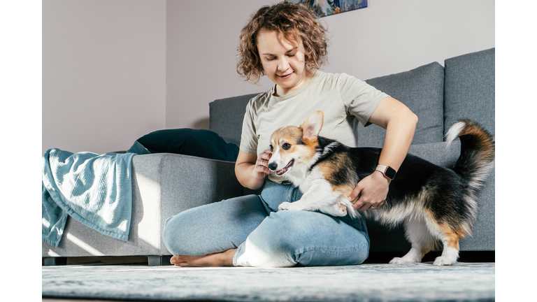 Curly haired glad, cheerful barefoot woman with dog corgi. Obedience training, animal feeding, sitting, and playing