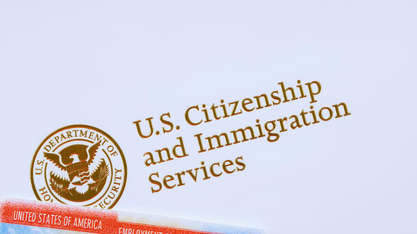Federal Lawyers Granted More Time To Respond To Iowa Visa Lawsuit