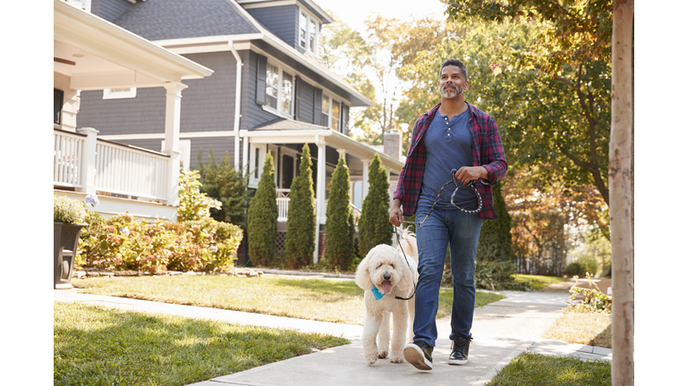 Man Walking Dog Along Suburban Street