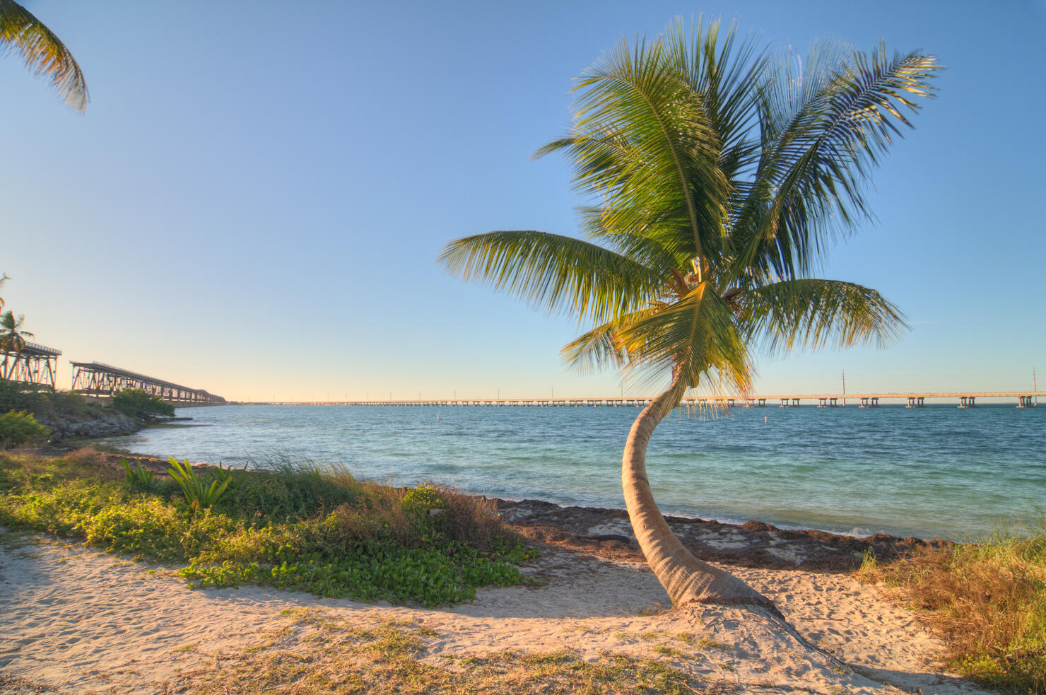 Bahia Honda