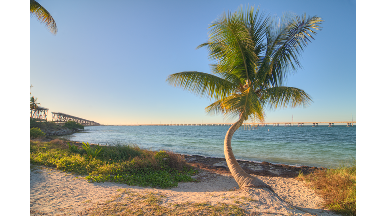 Bahia Honda