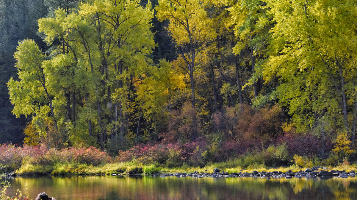 Washington Spot Among The 'Best Riverfront Towns' To Visit In America ...