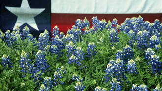 KTRH Local Houston and Texas News - Challenge To Texas' Foreign Land Ownership Ban Dismissed By Courts