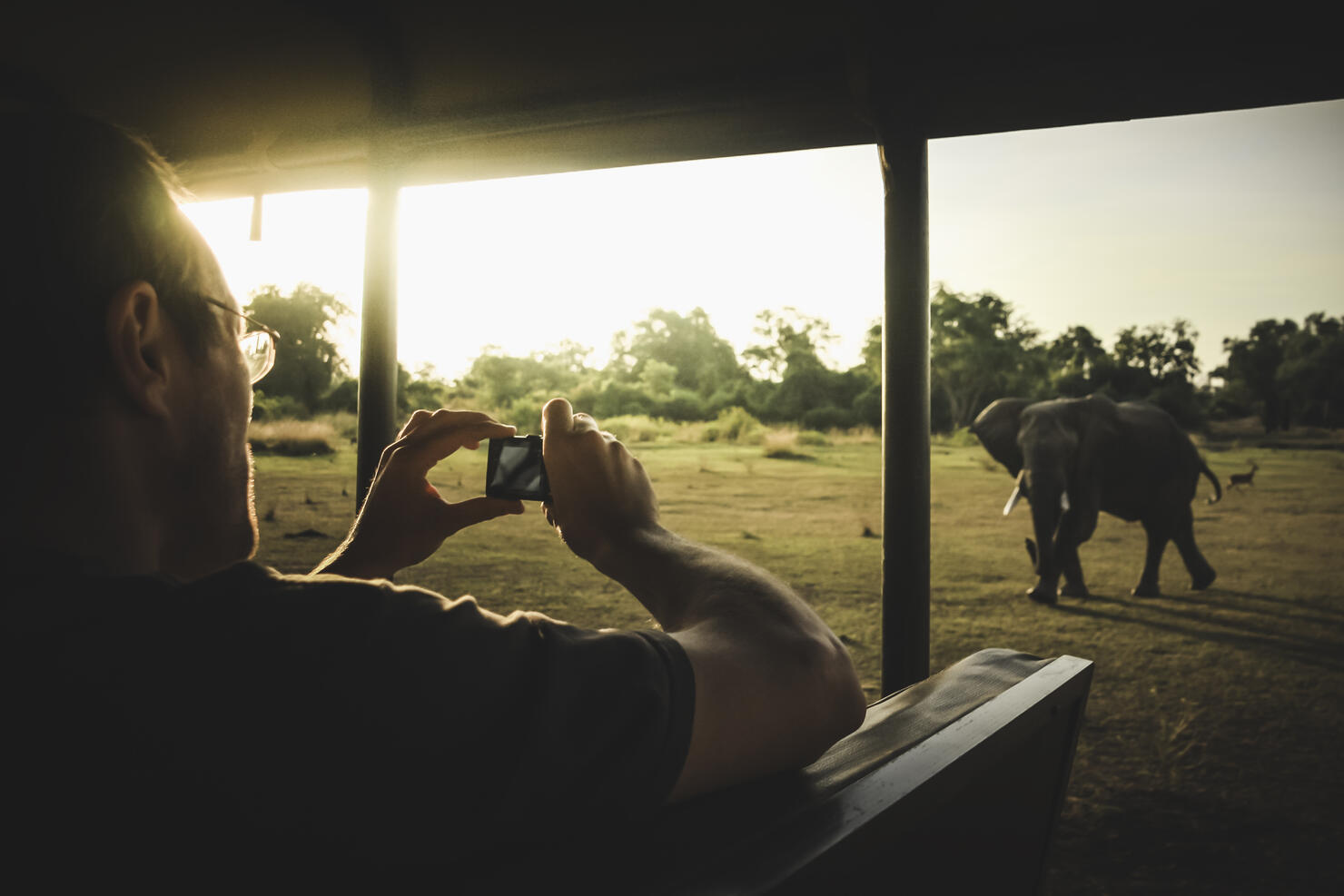 Man taking photo of a charging elephant from a safari vehicle, Zambia, Africa.