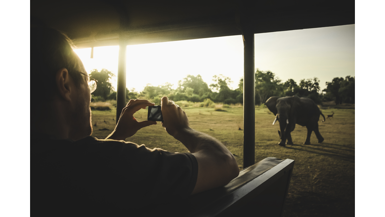 Man taking photo of a charging elephant from a safari vehicle, Zambia, Africa.