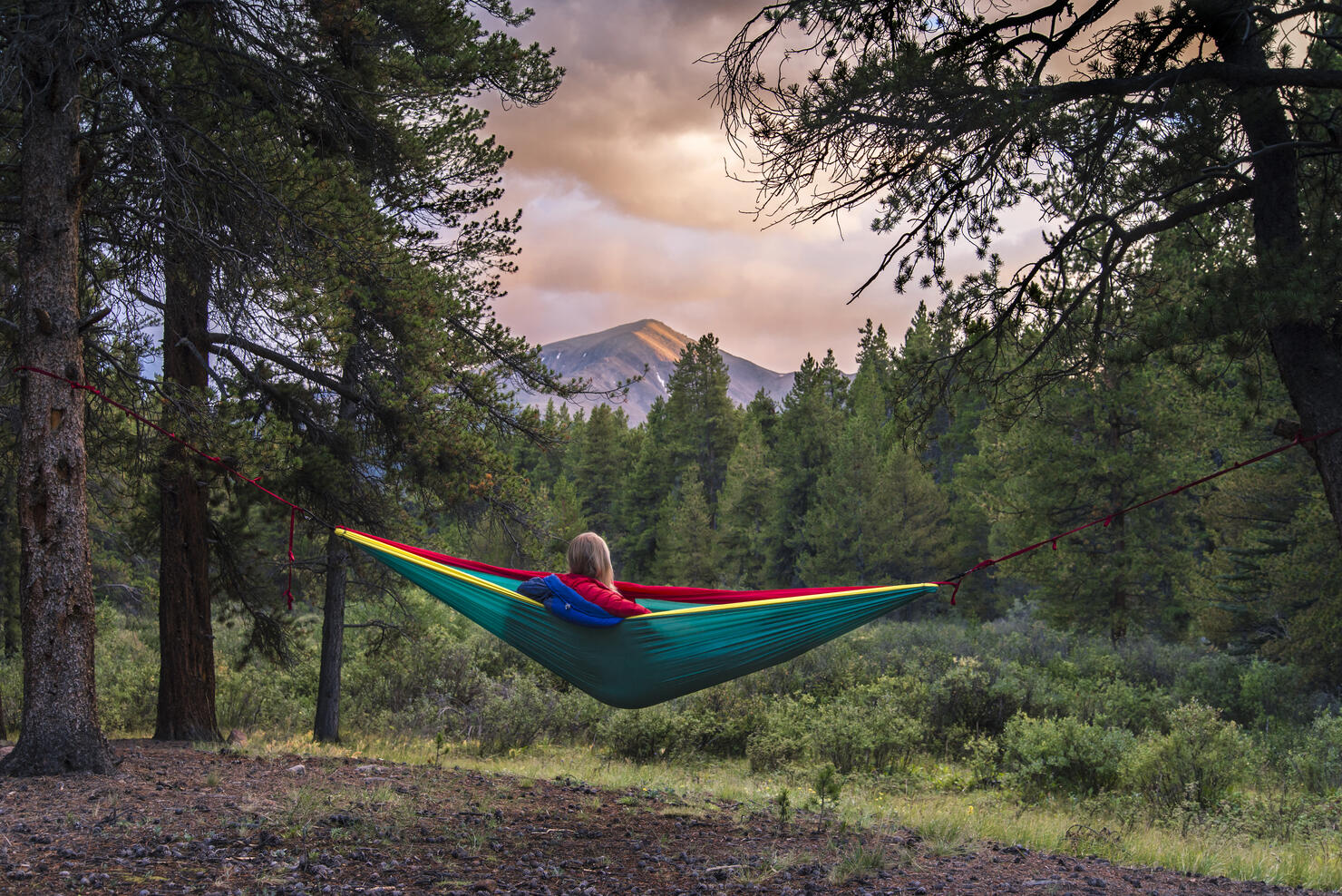 Woman resting in hammock at forest