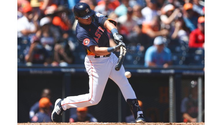 Detroit Tigers v Houston Astros