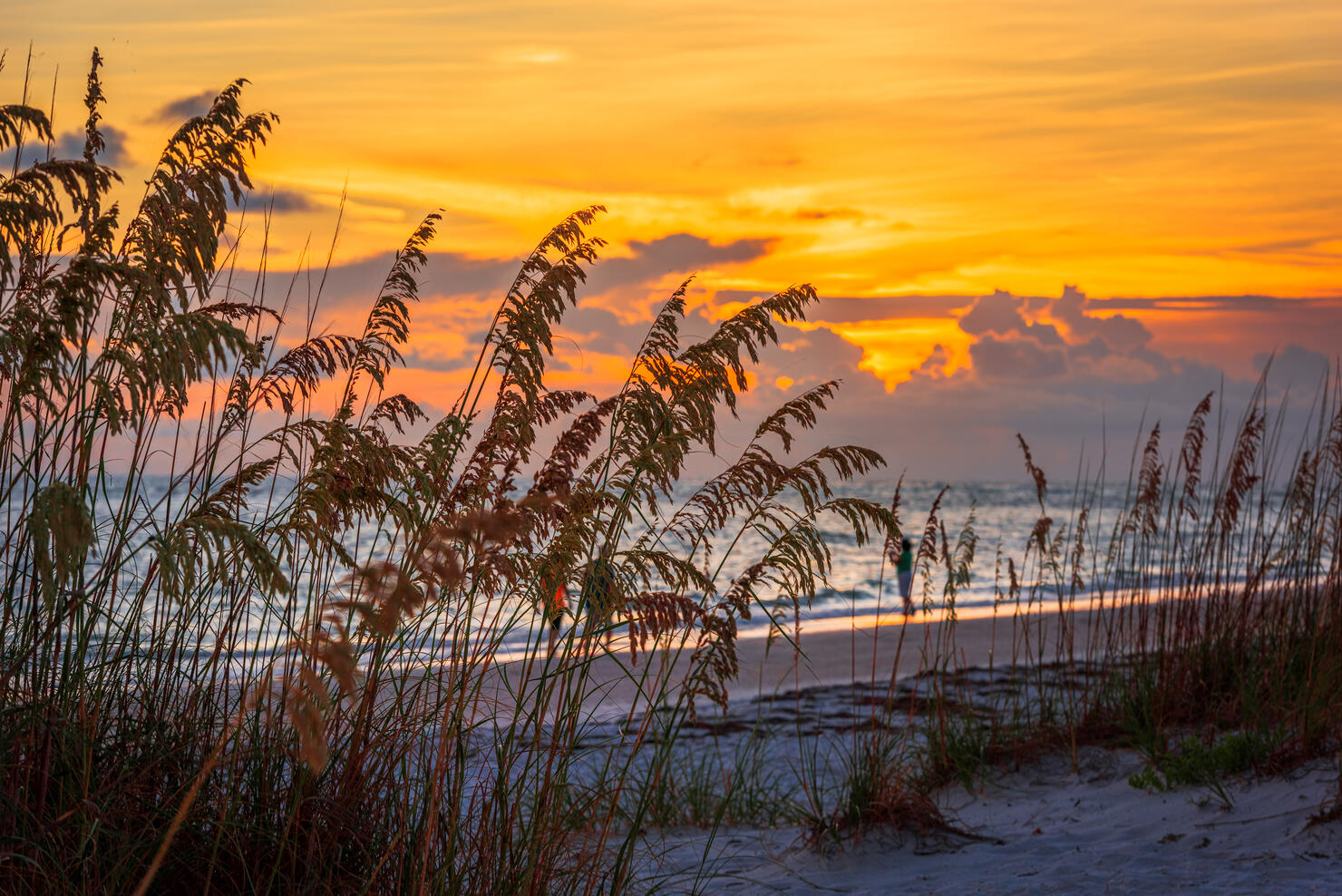 Lido Key Beach, Sarasota, Florida, USA