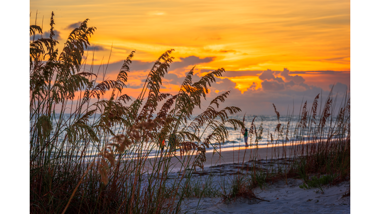 Lido Key Beach, Sarasota, Florida, USA