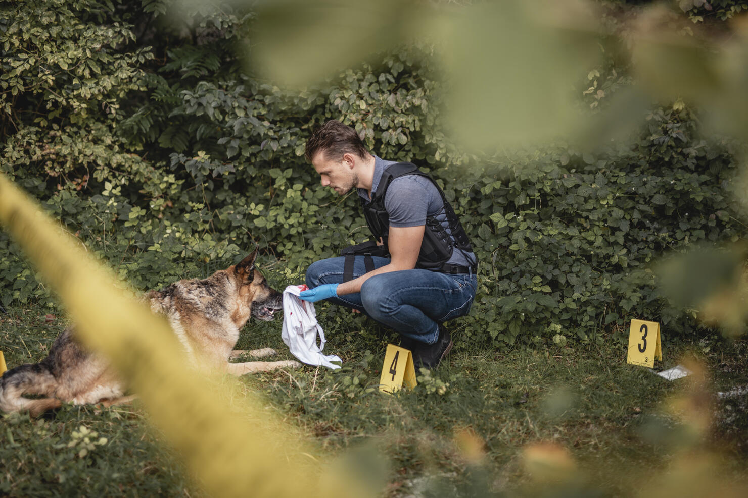 Crime Scene Investigator and Police Dog in Woodland Area