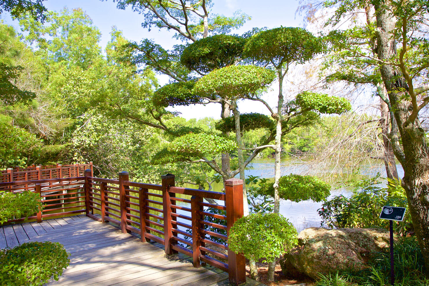 Trimmed trees, Morikami Museum and Japanese Gardens, Delray Beach
