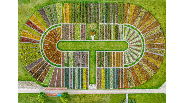 Sacred Geometry & Symbols / Plant Consciousness