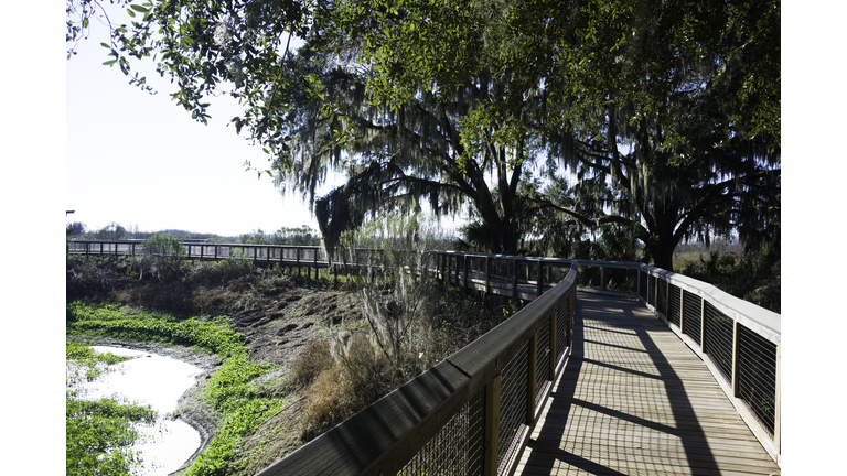 Boardwalk at Paynes Prairie State Park