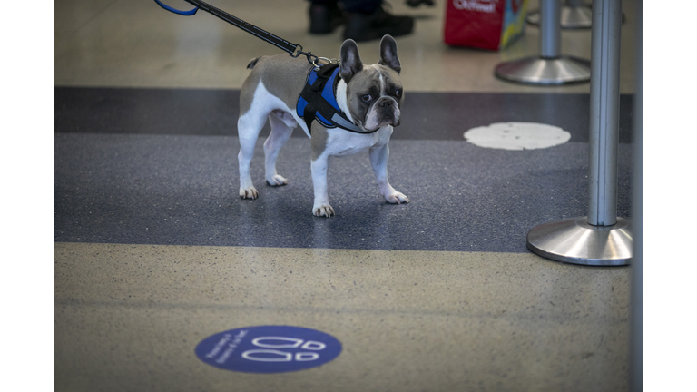 Nation's Airports Brace For Thanksgiving Travel, As CDC Recommends Not To Travel Amid Coronavirus Pandemic