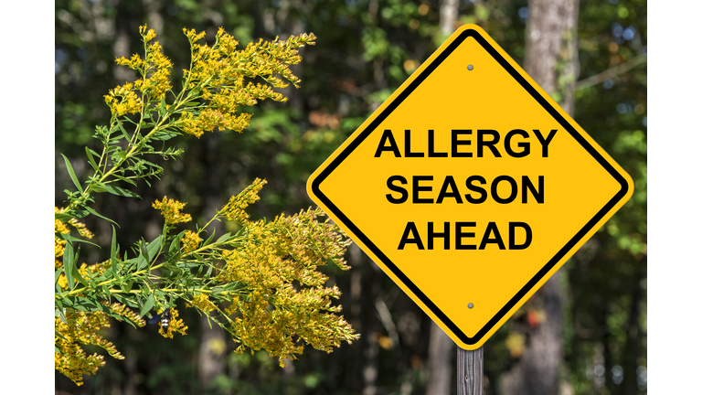 Caution Sign Warning About Upcoming Allergy Season