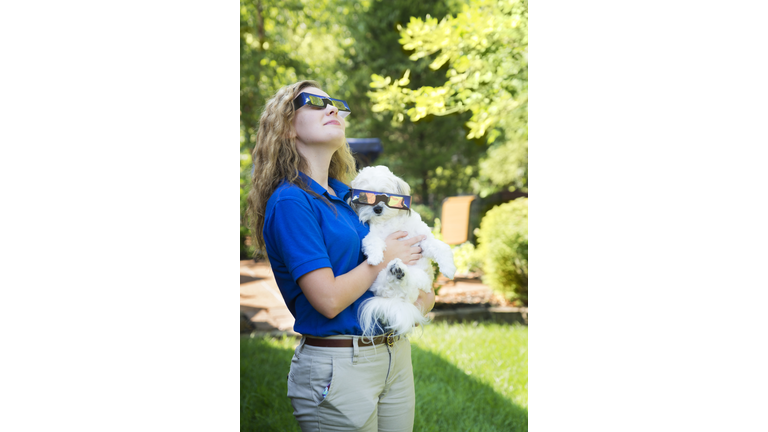 Watching the eclipse with dog