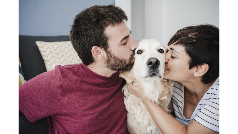 Male and female owner kissing Golden Retriever at home