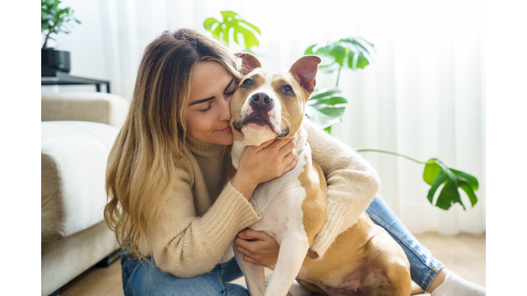 Portrait of blonde young woman hugging happy Pitbull Terrier dog at home