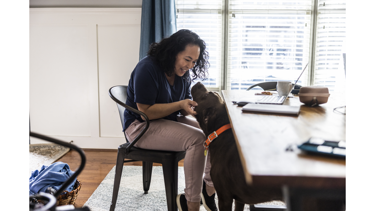 Woman working from home is interrupted by her dog at dining room table
