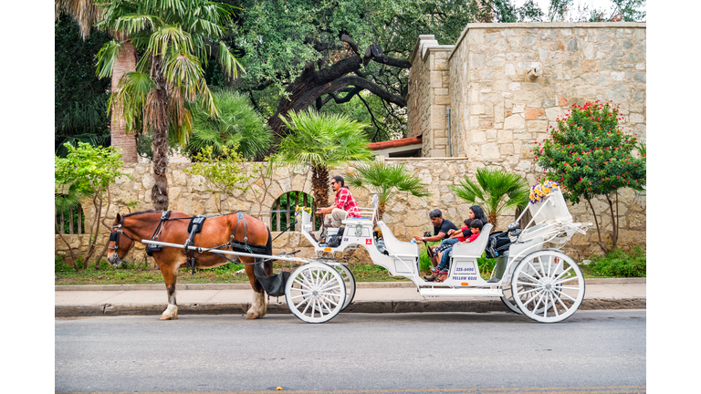 San Antonio Texas Alamo Plaza Horse Carriage Tour