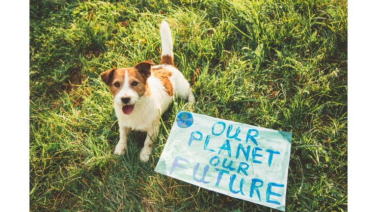 Dog with a posters to protect the planet