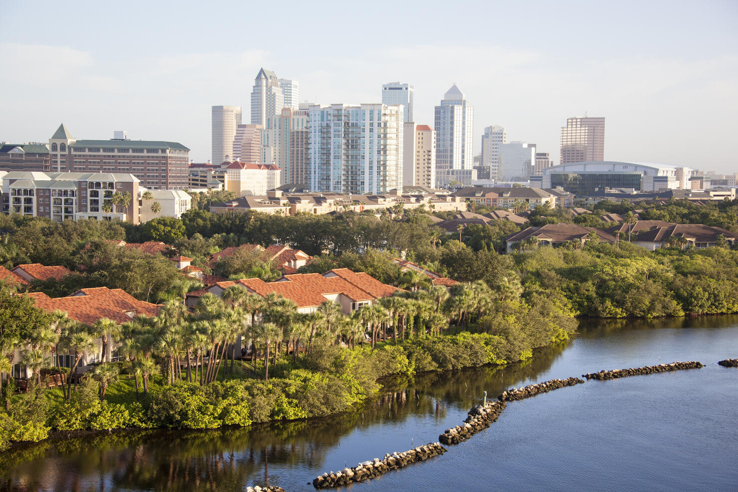 Morning In Tampa