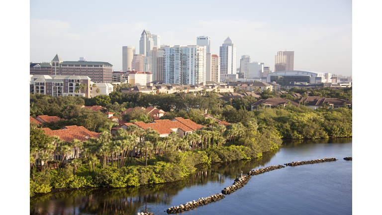 Morning In Tampa