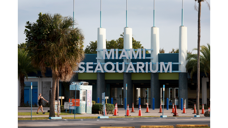 Miami's Seaquarium Claims County's Eviction Notice Are Not Warranted