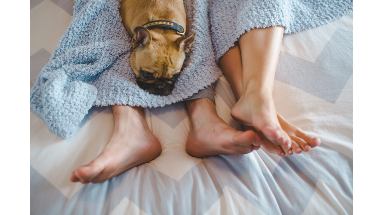 Feet with Dog